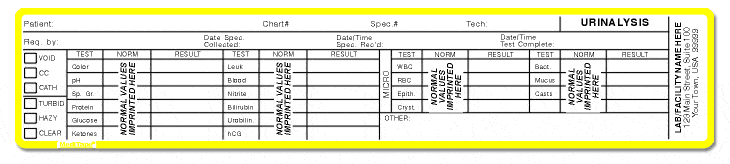 402 Urinalysis Report