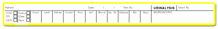 501 Urinalysis Report