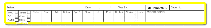 501A Urinalysis Report