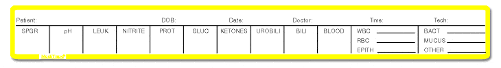 565 Urinalysis Report